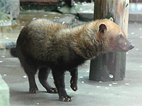 20080416-4s.jpg