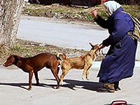 20080705-1s.jpg