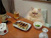 20080805-2s.jpg