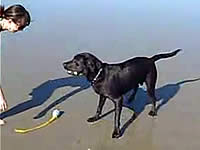 20080906-3s.jpg