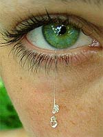20081006-2s.jpg