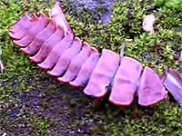 20081024-3s.jpg