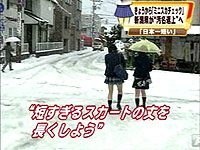 20090204-1s.jpg