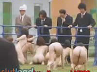 20090212-1s.jpg