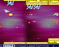 20090309-8s.jpg