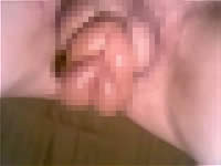 20090411-2s.jpg