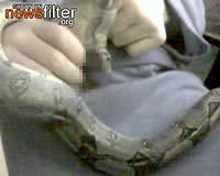 【リンク切れ】ヘビにフェラさせてみた