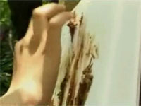 芸術の秋だからウ○コでお絵描きに挑戦♪　※スカトロ注意