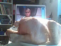 モテないからチキンを犯してみた