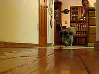 20091207-8s.jpg