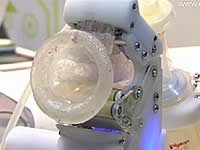 20100221-1s.jpg