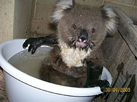 20100324-3s.jpg
