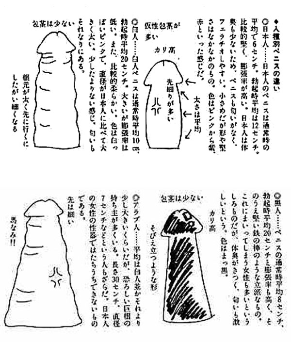 人種によるチンコの違い エログちゃんねるニュース