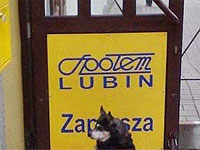 20100423-1s.jpg