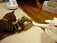20100620-1s.jpg