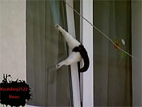 20100721-1s.jpg