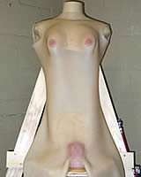 皮をかぶって女体化！「FemSkin」がスゴイ