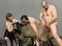 【リンク切れ】羊と獣姦する変態男 ※閲覧注意