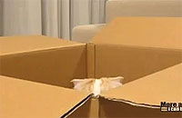 20101110-3s.jpg