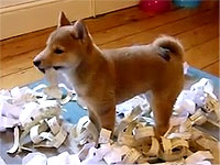 20110128-3s.jpg