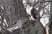 20110207-1s.jpg