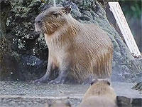 20110218-1s.jpg