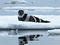 20110316-1s.jpg