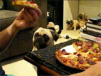 20110404-1s.jpg