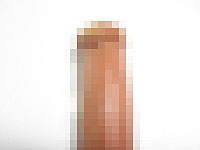 20110428-2s.jpg