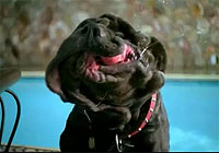 20110506-2s.jpg