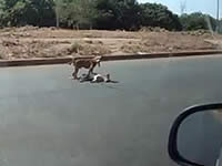 20110517-3s.jpg