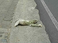 20110519-2s.jpg
