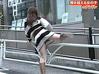 20110522-2s.jpg