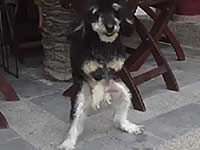 20110529-1s.jpg