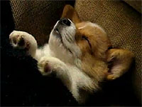 20110617-1s.jpg