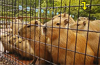 20110715-2s.jpg