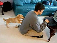 20111007-3s.jpg