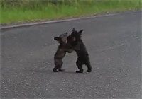 20111118-2s.jpg