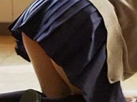 あの日見た風景をもう一度!女子校生の究極のチラリズム集