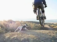 20111124-5s.jpg