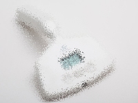 20111208-6s.jpg