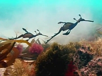 20111222-3s.jpg