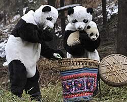 20111231-1s.jpg