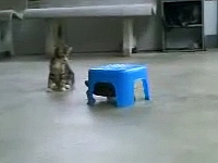 20120201-10s.jpg