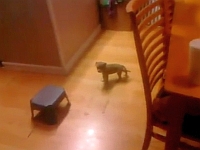 20120222-12s.jpg