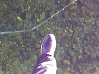 20120229-2s.jpg