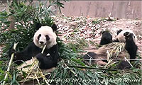 20120312-1s.jpg