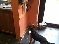 20120319-1s.jpg