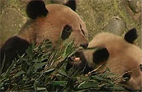 20120326-1s.jpg