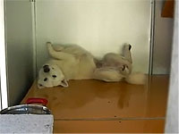 20120402-2s.jpg